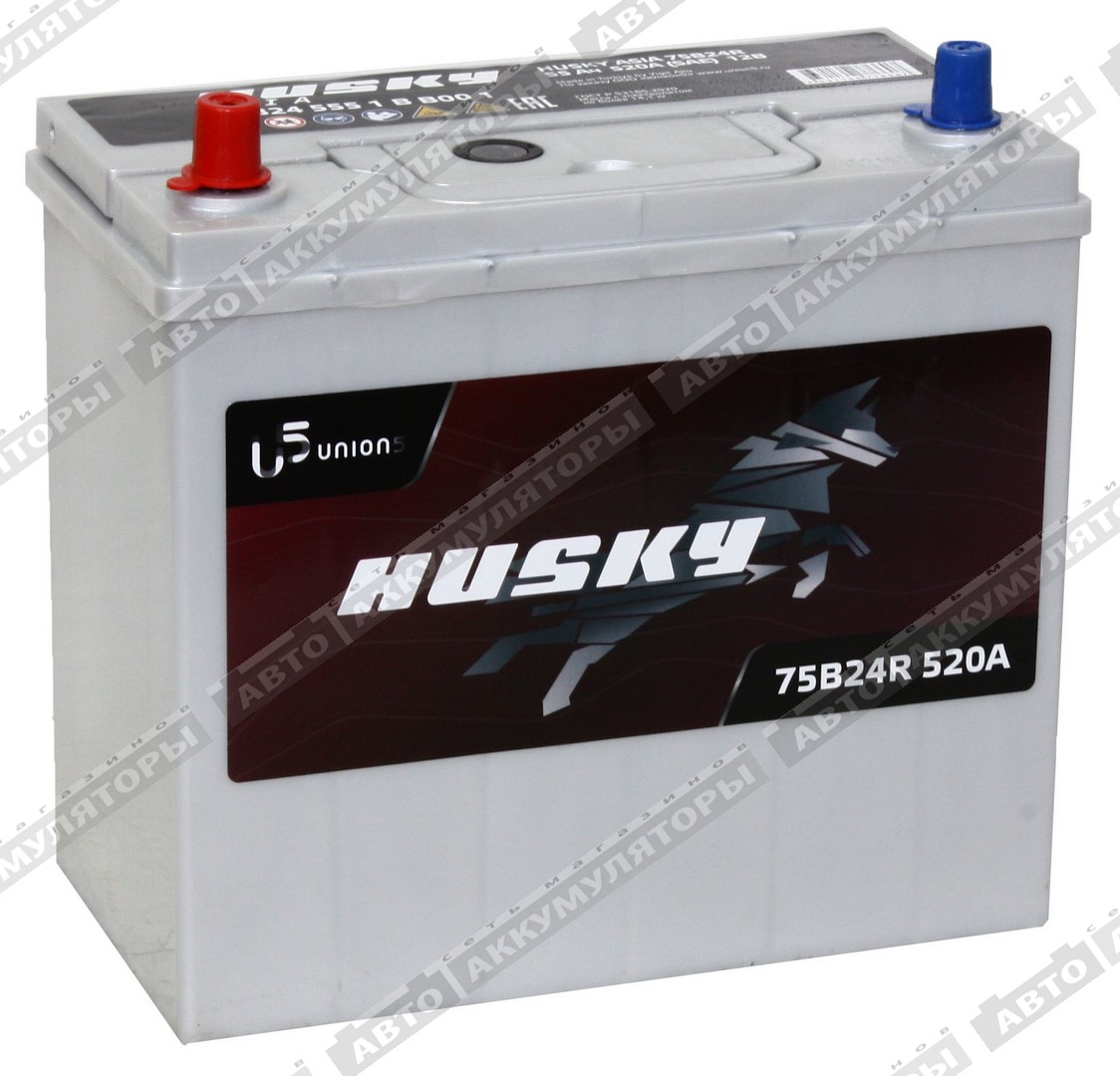 АКБ Husky Asia 55 Ач 75B24R