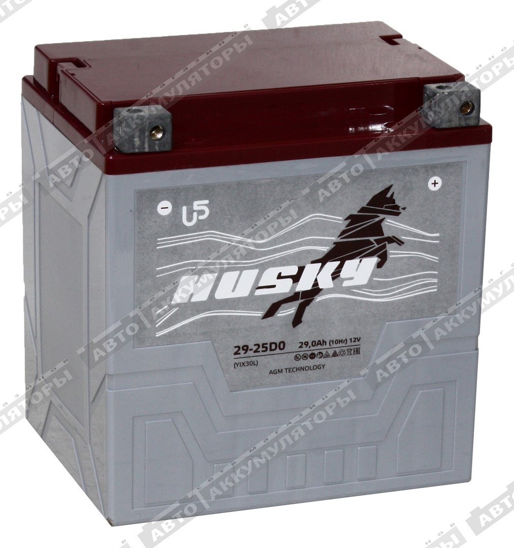 АКБ HUSKY 29 Ач 29-25D0 (CT 1230, YTX30L-BS)