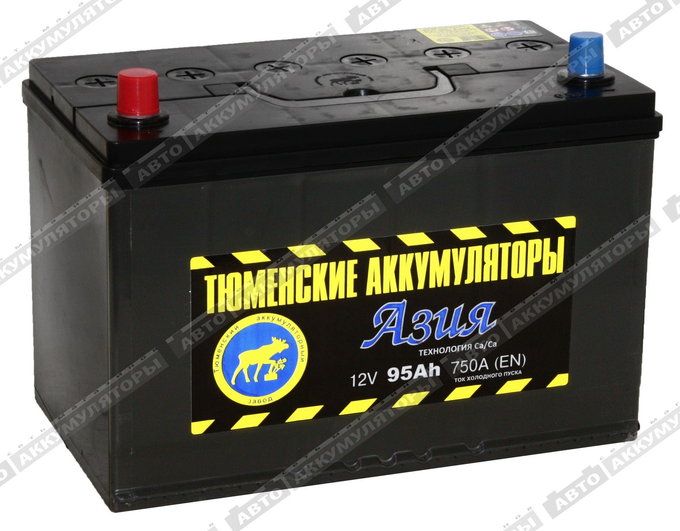 АКБ Тюмень 95 Ач 6СТ-95L Азия